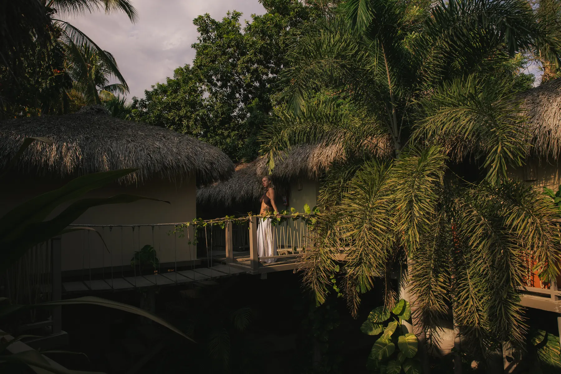 Arquitectura de palapa y vegetación en raíz