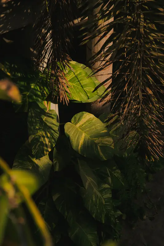 Vegetación tropical dentro de raíz