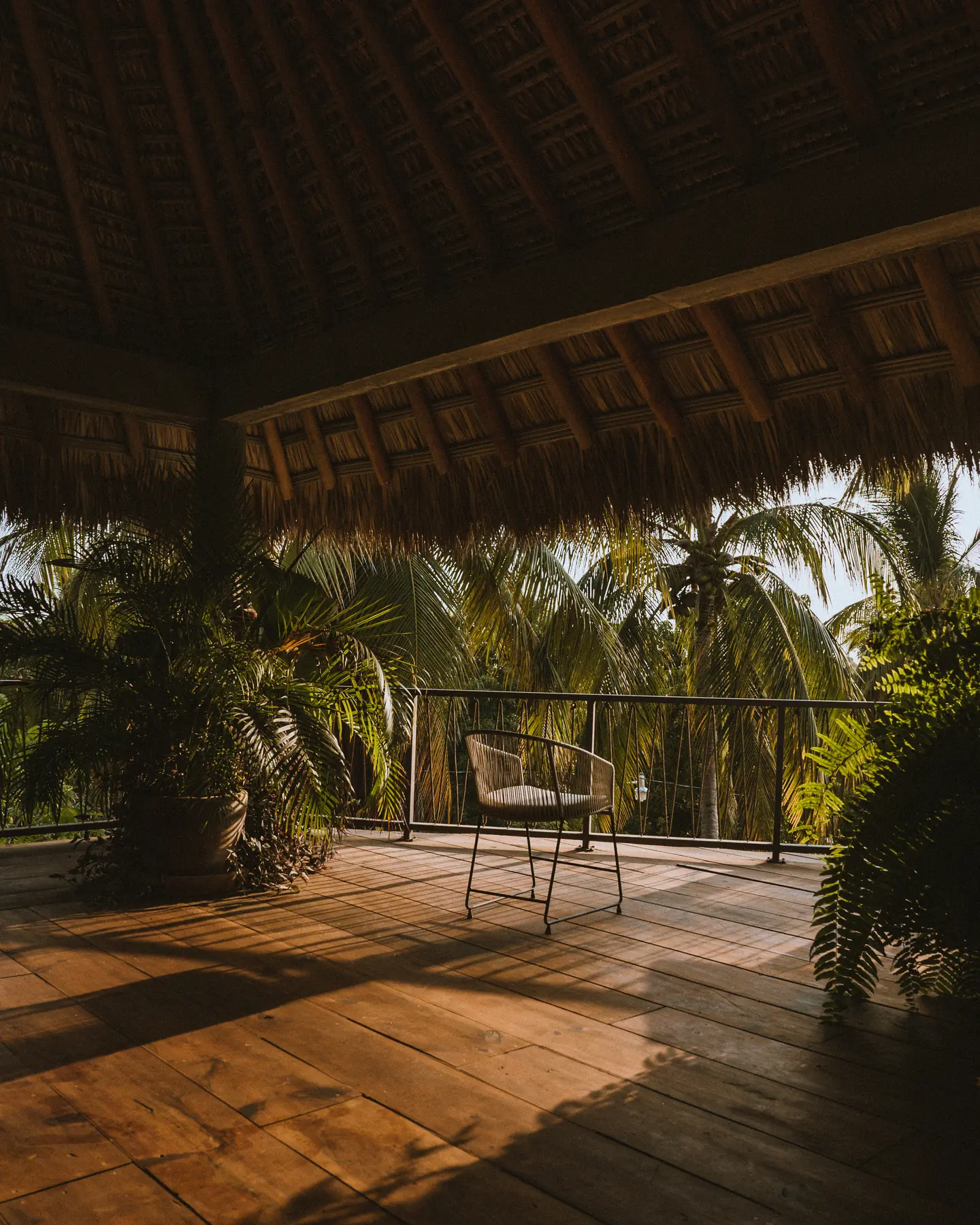 Terraza de madera con vista a las palmeras