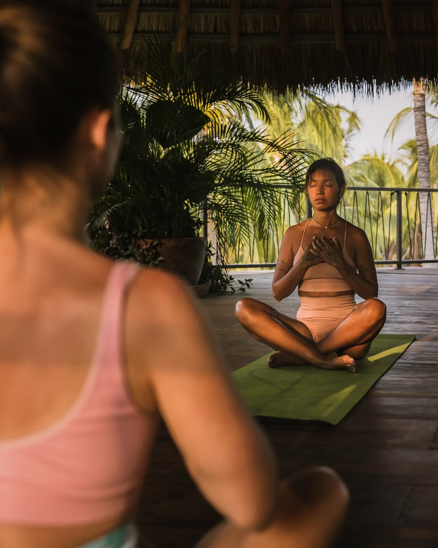 Meditación en la terraza de raíz