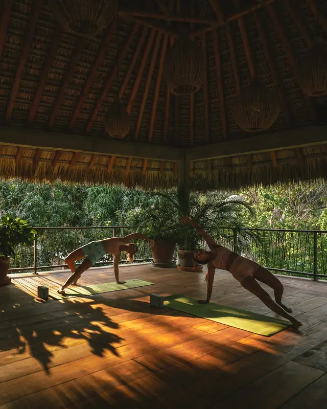 Clase de yoga en la palapa de raíz