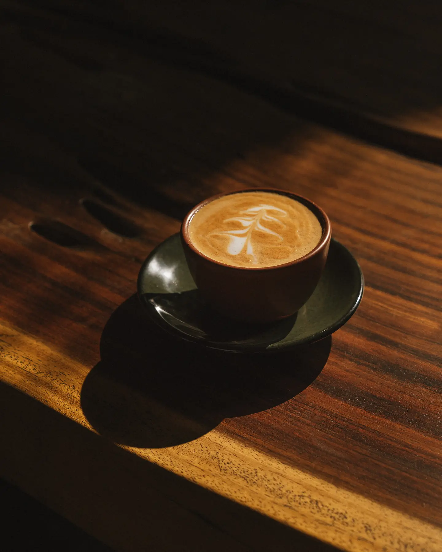 Café de especialidad de Oaxaca servido en raíz