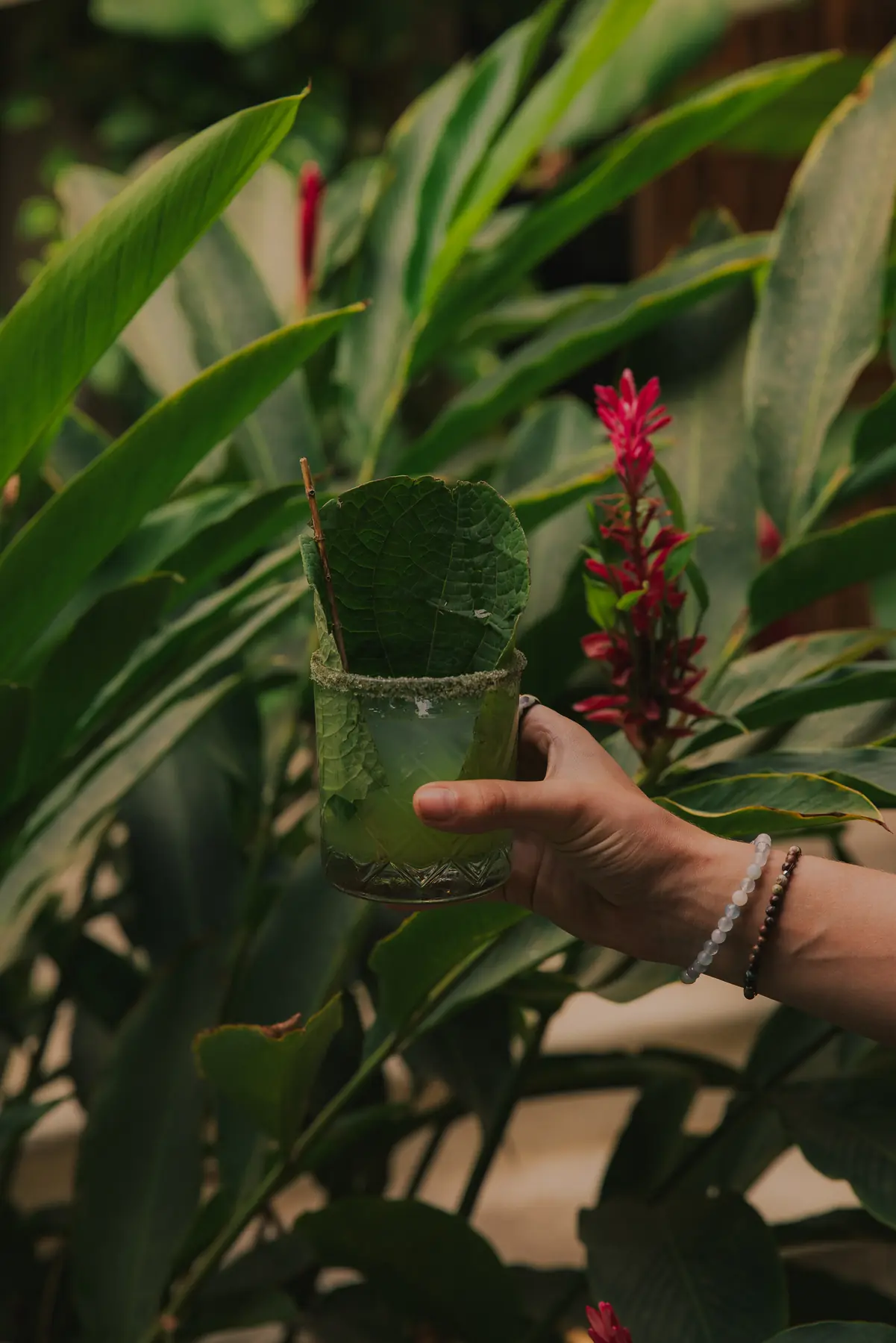Cóctel entre las plantas del jardín de raíz