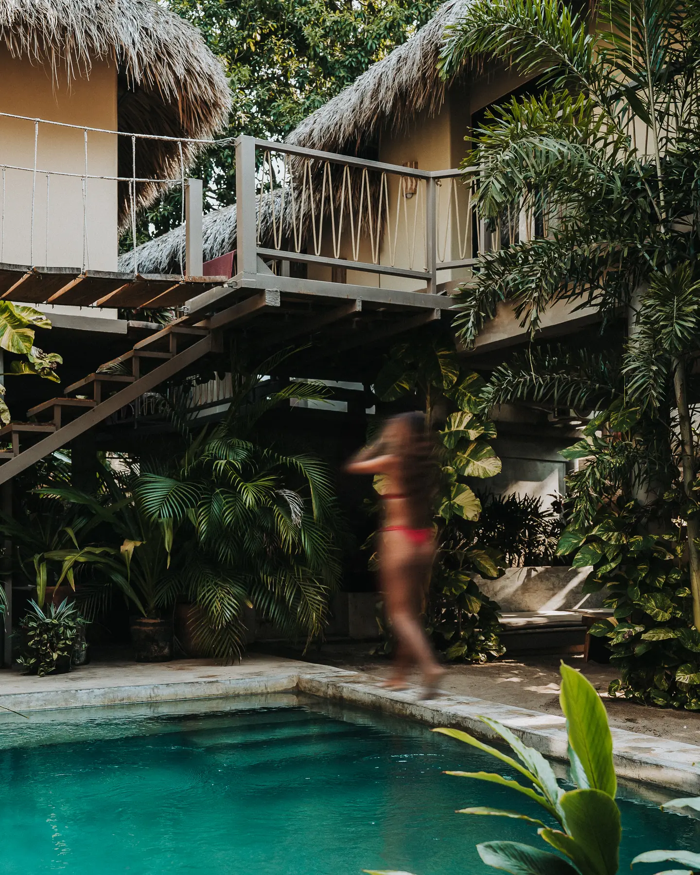 Escalera y alberca rodeadas de vegetación tropical
