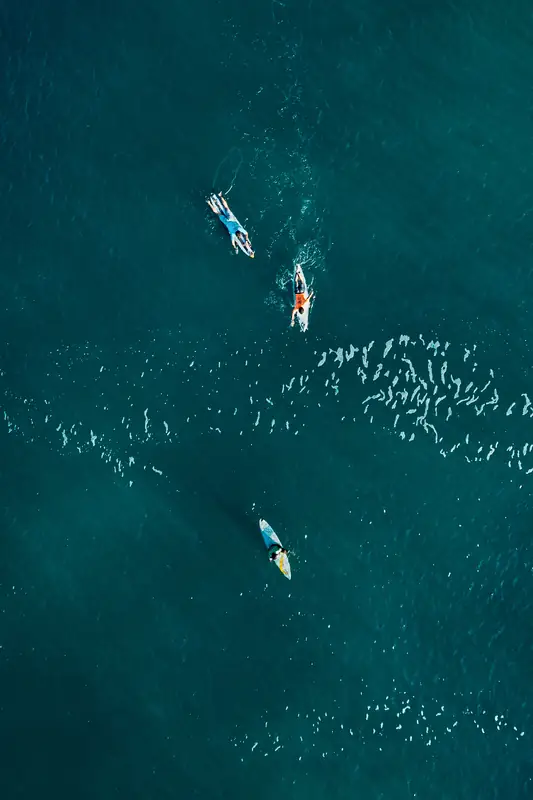 Surfistas esperando olas, vista aérea