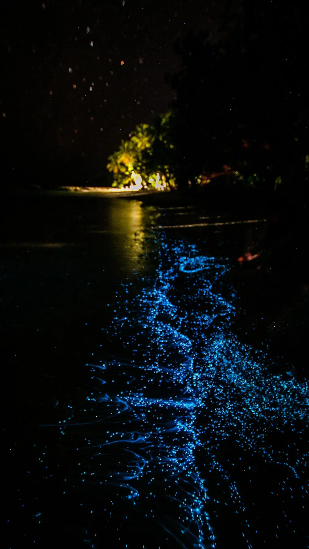 Bioluminiscencia en la laguna de Manialtepec